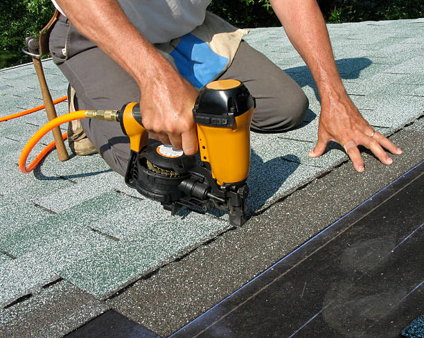 Best Roof Gutter Cleaning  in New Market, TN